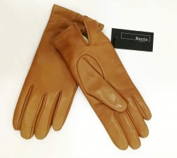 156780917_234451878393012_4913978745867482334_n